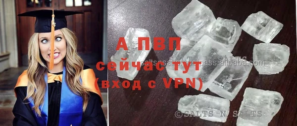винт Верея